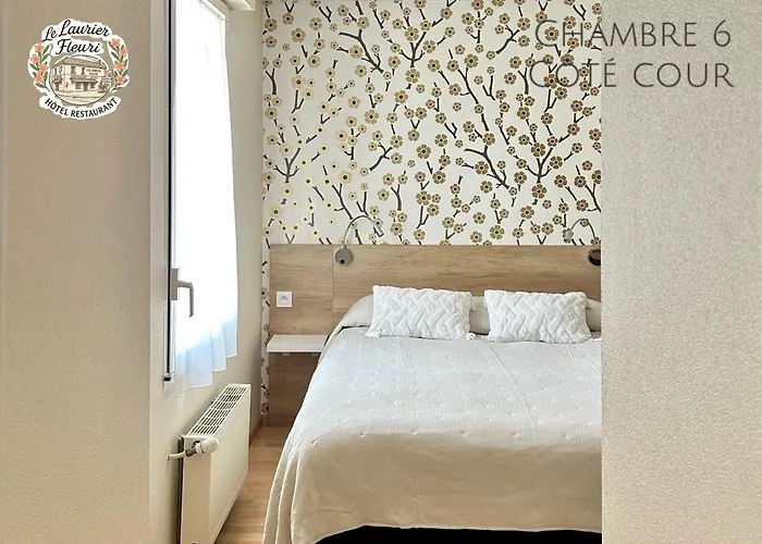 Logis Le Laurier Fleuri 2* 韦尔图